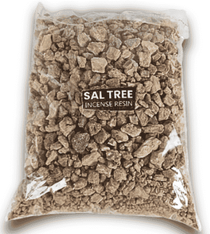 Sal Tree Incense Resin-100g
